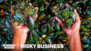 Video post by @businessinsider on YouTube