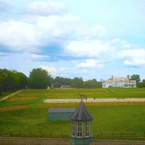 Image post by @hickeyfreeman on Instagram