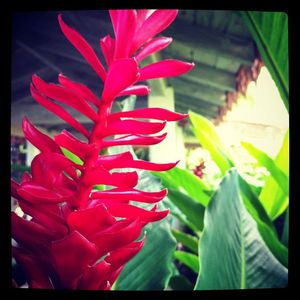 Image post by @kirstenalana on Instagram