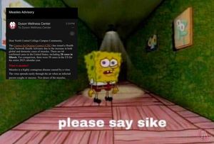 Image post by @barstoolnoctrl on Instagram