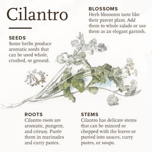 Image post by @cooksillustrated on Instagram