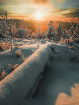 Image post by @sony.deutschland.at on Instagram
