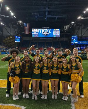 Image post by @ndsucheer on Instagram