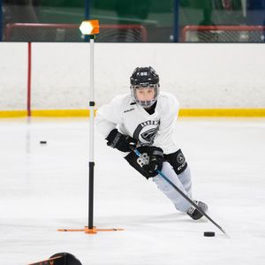 Image post by @toptierhockey_ on Instagram
