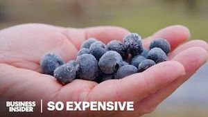 Video post by @businessinsider on YouTube