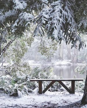 Image post by @visitmelbourne on Instagram