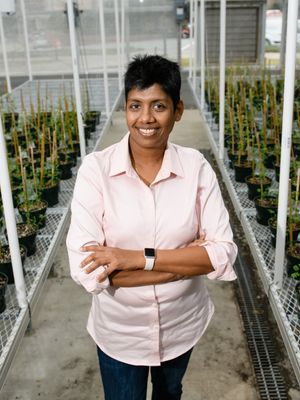 Image post by @clemsonuniversity on Instagram