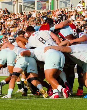 Image post by @harlequins on Instagram
