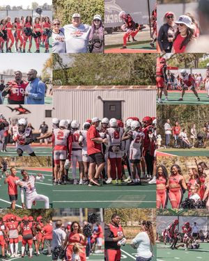 Image post by @jaxsharks on Instagram