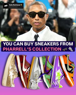 Image post by @soleretriever on Instagram