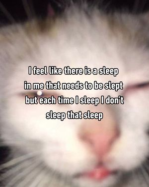 Image post by @9gag on Instagram