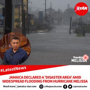 Image post by @thejamaicastar on Instagram