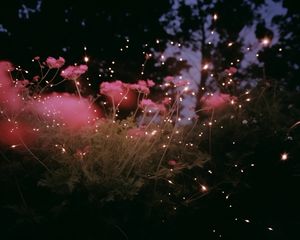 Image post by @ephemeralariel on Instagram
