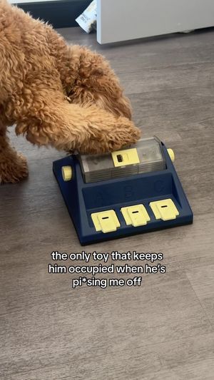 Video post by @tedflixnchill on TikTok