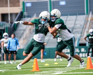 Image post by @greenwavefb on Instagram