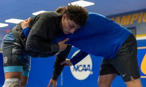 Image post by @hofstrawrest on Instagram