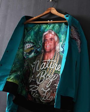Image post by @ricflairnatureboy on Instagram