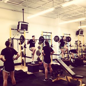 Image post by @wsuvball on Instagram