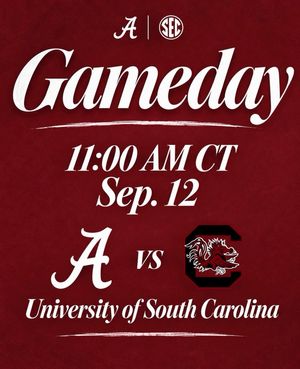 Image post by @alabamahockeyd3 on Instagram