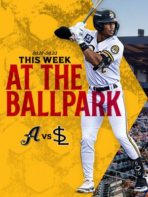 Image post by @saltlakebees on Instagram