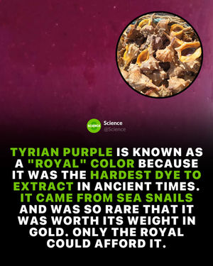 Image post by @science on Instagram