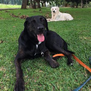 Image post by @mikethewhitegolden on Instagram
