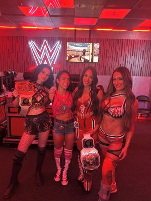 Image post by @thewrestlingclassic on Instagram