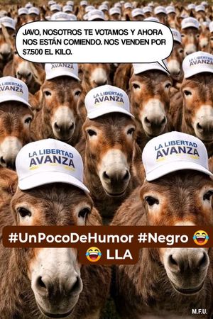 Image post by @pablocasassarmientonoticias on Instagram