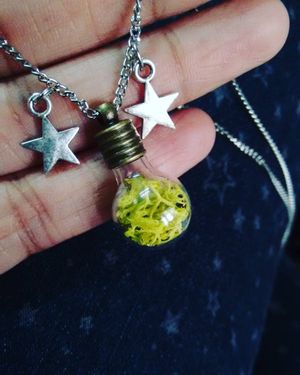 Image post by @leafyaffair on Instagram