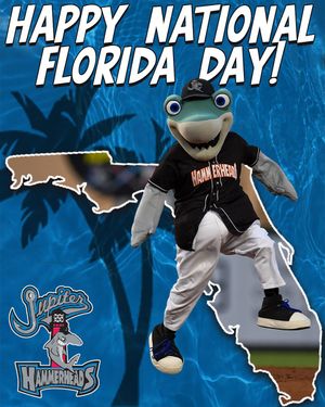 Image post by @GoHammerheads on Twitter/X
