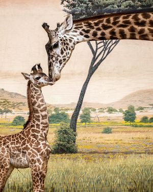 Image post by @thetorontozoo on Instagram