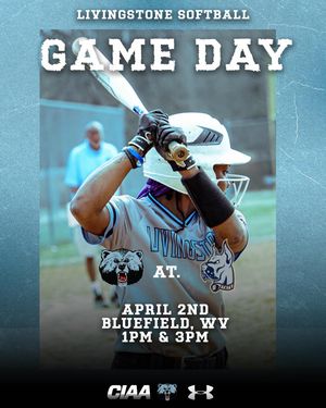 Image post by @bluebearathletics on Instagram