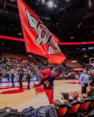 Image post by @raptors905 on Instagram