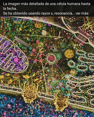 Image post by @charlyfysyo on Instagram