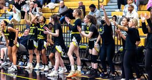 Image post by @gopetrels on Instagram