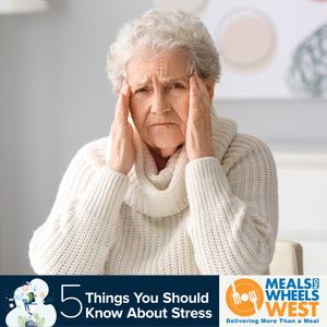 Image post by @mealsonwheelswest on Instagram