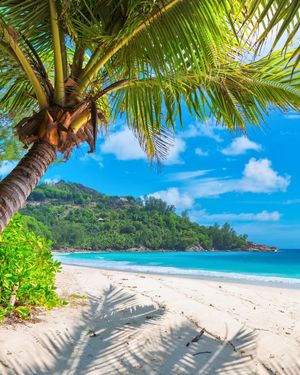 Image post by @sunwingvacations on Instagram