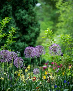 Image post by @ahs_gardening on Instagram