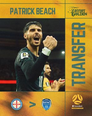 Video post by @socceroos on TikTok
