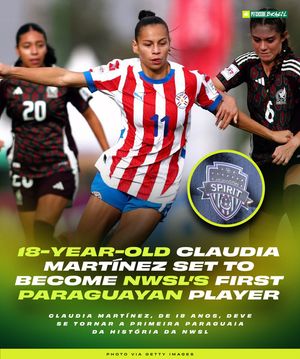 Image post by @pitchsidebrazil on Instagram