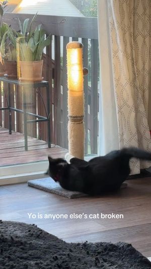 Video post by @kate.cassaidy on TikTok