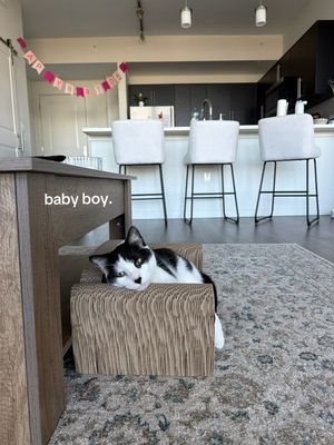Video post by @c_silv3r on TikTok