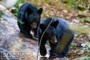 Image post by @jontenca on Instagram