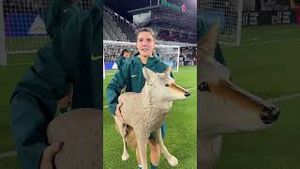 Video post by @washingtonspirit on YouTube
