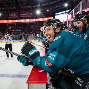 Image post by @belfastgiants on Instagram