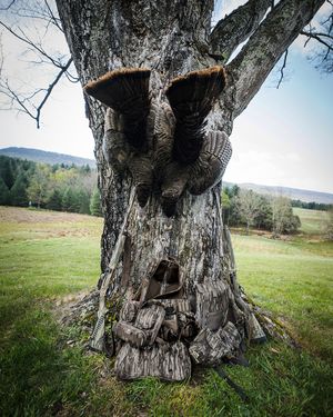 Image post by @realtreeoutdoors on Instagram