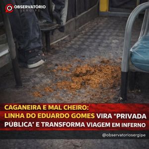 Image post by @observatoriosergipe on Instagram