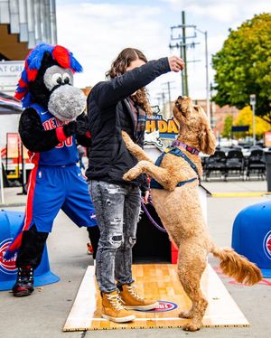 Image post by @DetroitPistons on Twitter