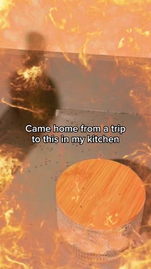 Video post by @ortho on TikTok