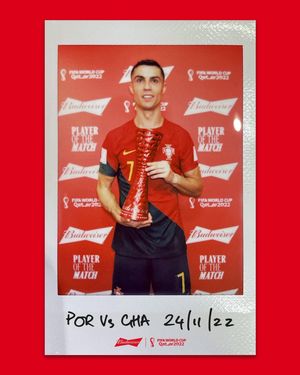 Image post by @fifaworldcup on Instagram